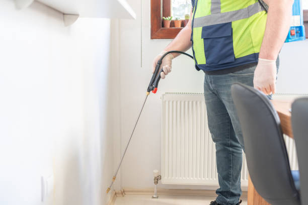 Best Termite Control Services  in Springboro, OH